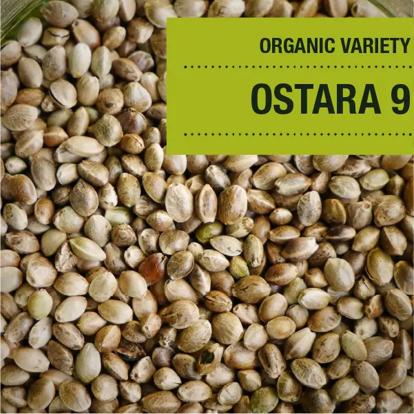 Ostara 9