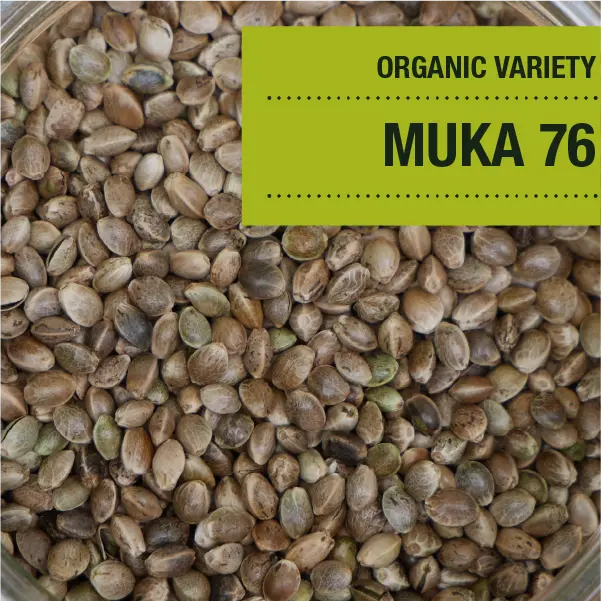 Muka 76