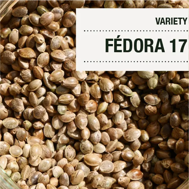 Fedora 17